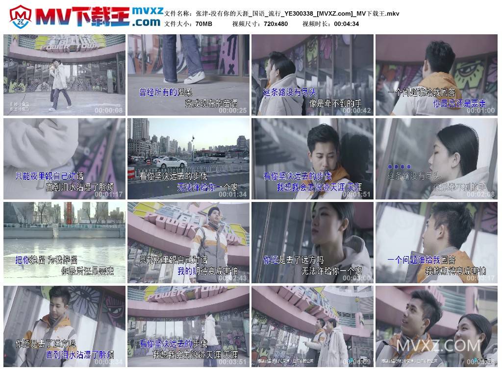 张津-没有你的天涯_国语_流行_YE300338